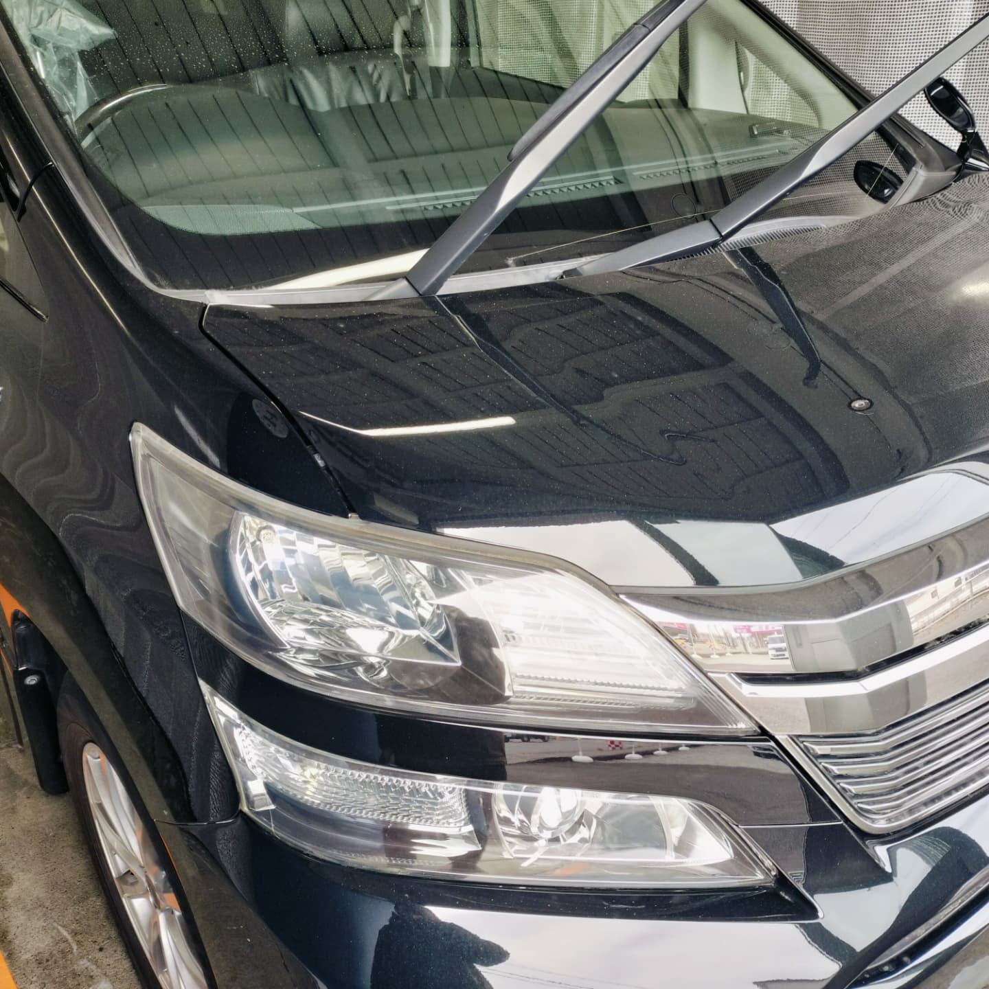こんばんは！